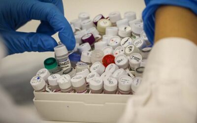 Valutazione dell’attività di ricerca di IRP: la relazione del SAB