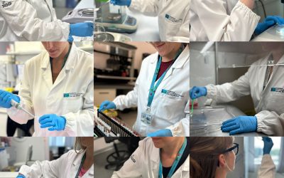 Il camice della ricerca: uno sguardo dentro i laboratori di IRP nel contest fotografico