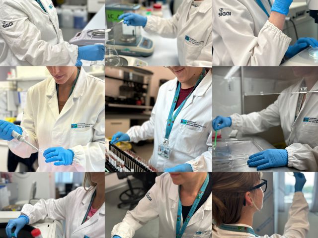 Il camice della ricerca: uno sguardo dentro i laboratori di IRP nel contest fotografico