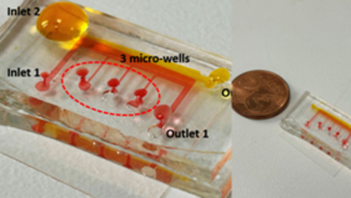 The 3D bioprinting facility includes the instruments listed below.