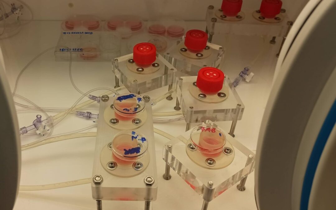 Ernia diaframmatica neonatale: al via la sperimentazione con tessuti biologici