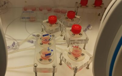 Ernia diaframmatica neonatale: al via la sperimentazione con tessuti biologici